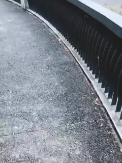 户外调教骚母狗!