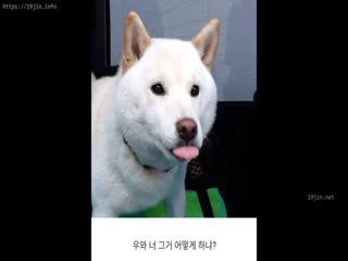 Korean BJ dkdld0901(missedyou) (87)