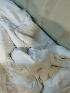 某主播直播群P嫖娼,刺激得很