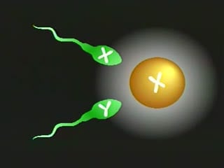稀有资源✅科普性教育卫生部研究内部资料✅真人示范,男女生殖健康科普,国语中字第03集