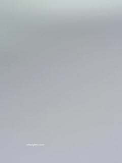 清纯小野喵】在外资公司上班美丽小姐姐~上班偷偷直播!~!!✨✨✨--无声音时是主播关的,怕泄露公司机密_20220530_145058第04集