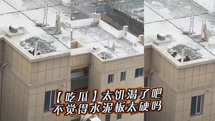 【吃瓜】太饥渴了吧,不觉得水泥板太硬吗