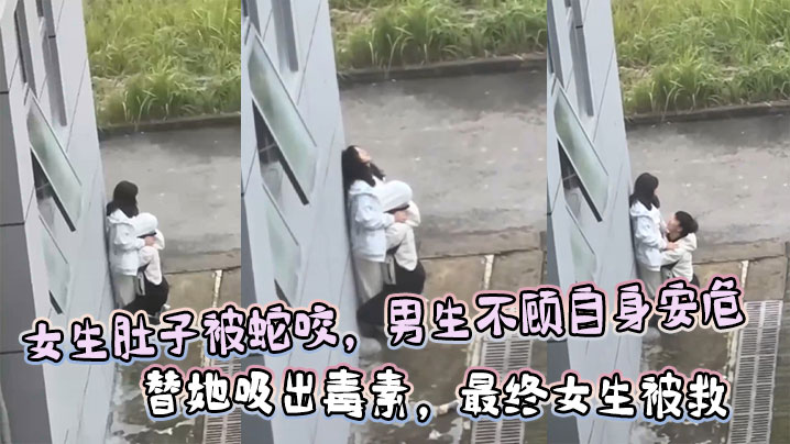 女生肚子被蛇咬，男生不顾自身安危 替她吸出毒素，最终女生被救