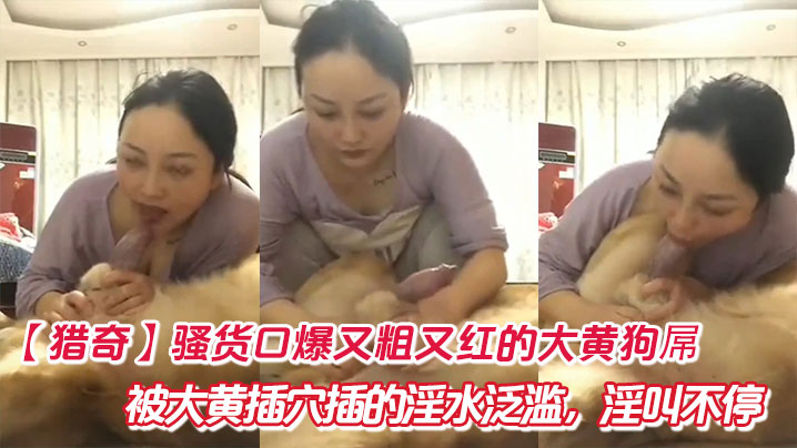 【猎奇】骚货口爆又粗又红的大黄狗屌,被大黄插穴插的淫水泛滥,淫叫不停。