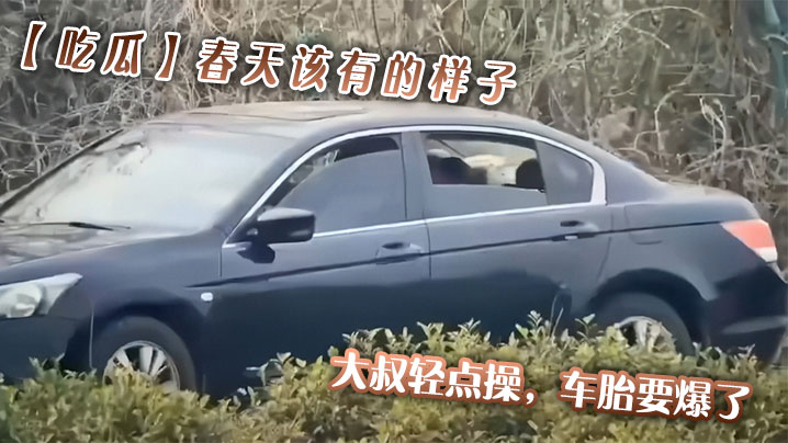 【吃瓜】春天该有的样子,大叔轻点操,车胎要爆了