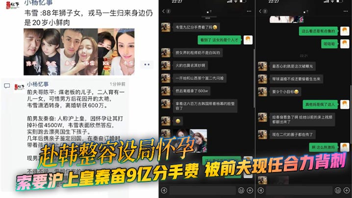 赴韩整容设局怀孕 索要沪上皇秦奋9亿分手费 被前夫现任合力背刺 曝光大尺度聊天记录!