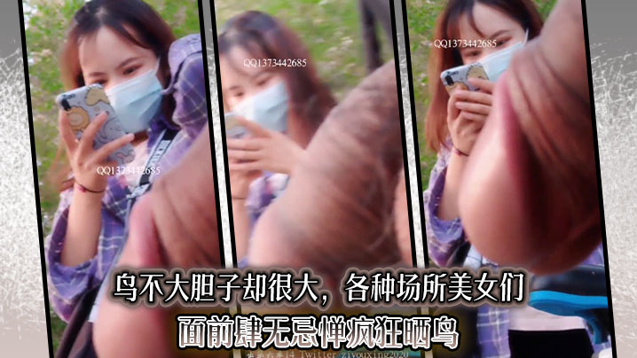 鸟不大胆子却很大,各种场所美女们面前肆无忌惮疯狂晒鸟