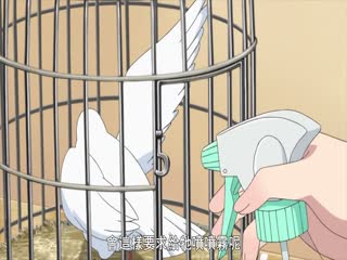魔术学姐:第4话 庆祝的学姐 星探学姐 鸽子与鸽子与学姐 搞