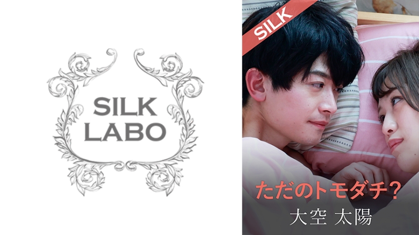 220SILKS-104 ただのトモダチ?
