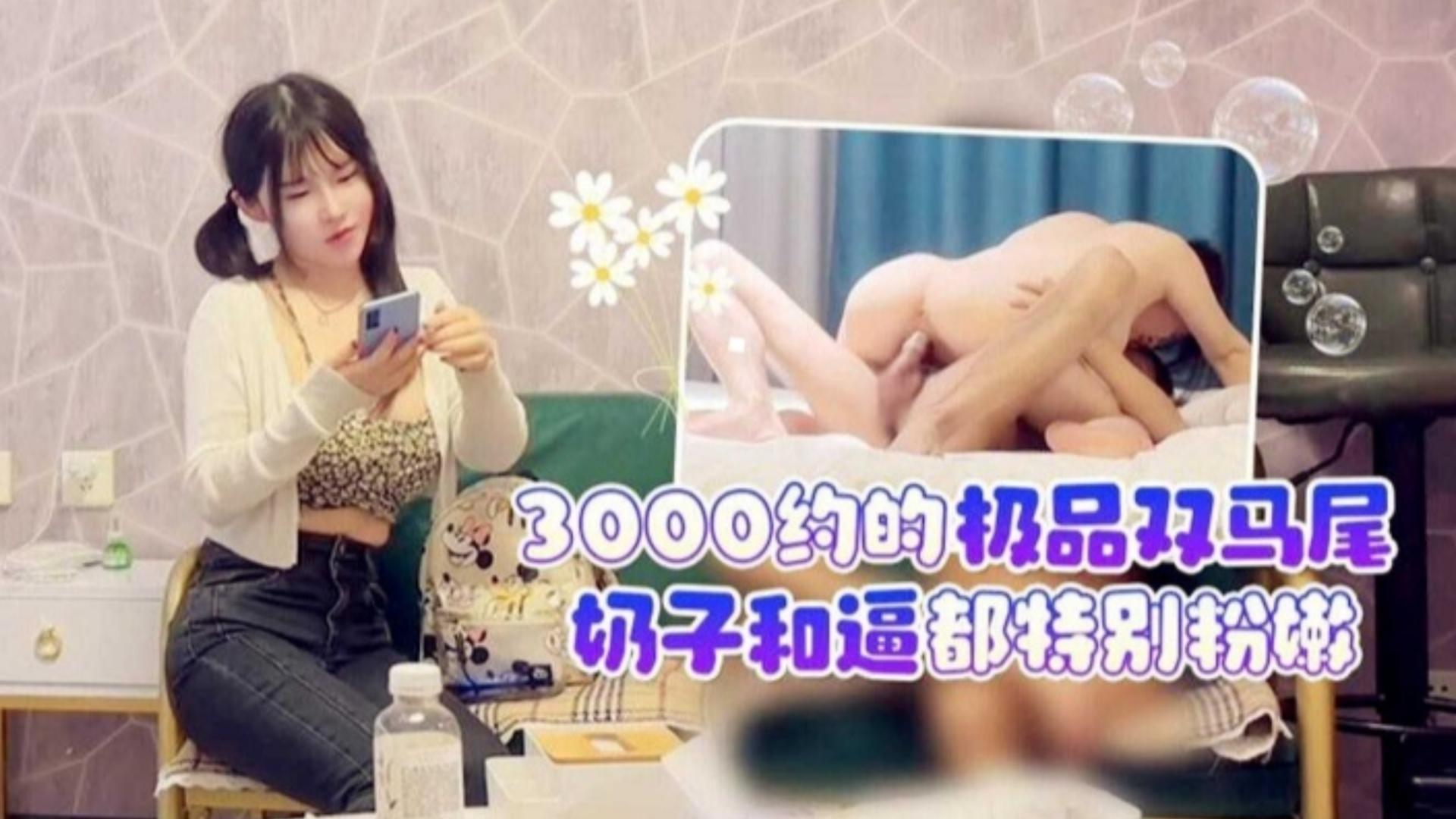 3000块约的极品双马尾嫩萝莉,奶子和逼都极度粉嫩