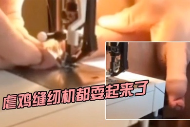 虐鸡耍起来了