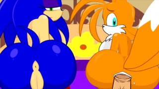 [SonicTransform2] 极品巨乳骚穴无尽狂插爆操内射